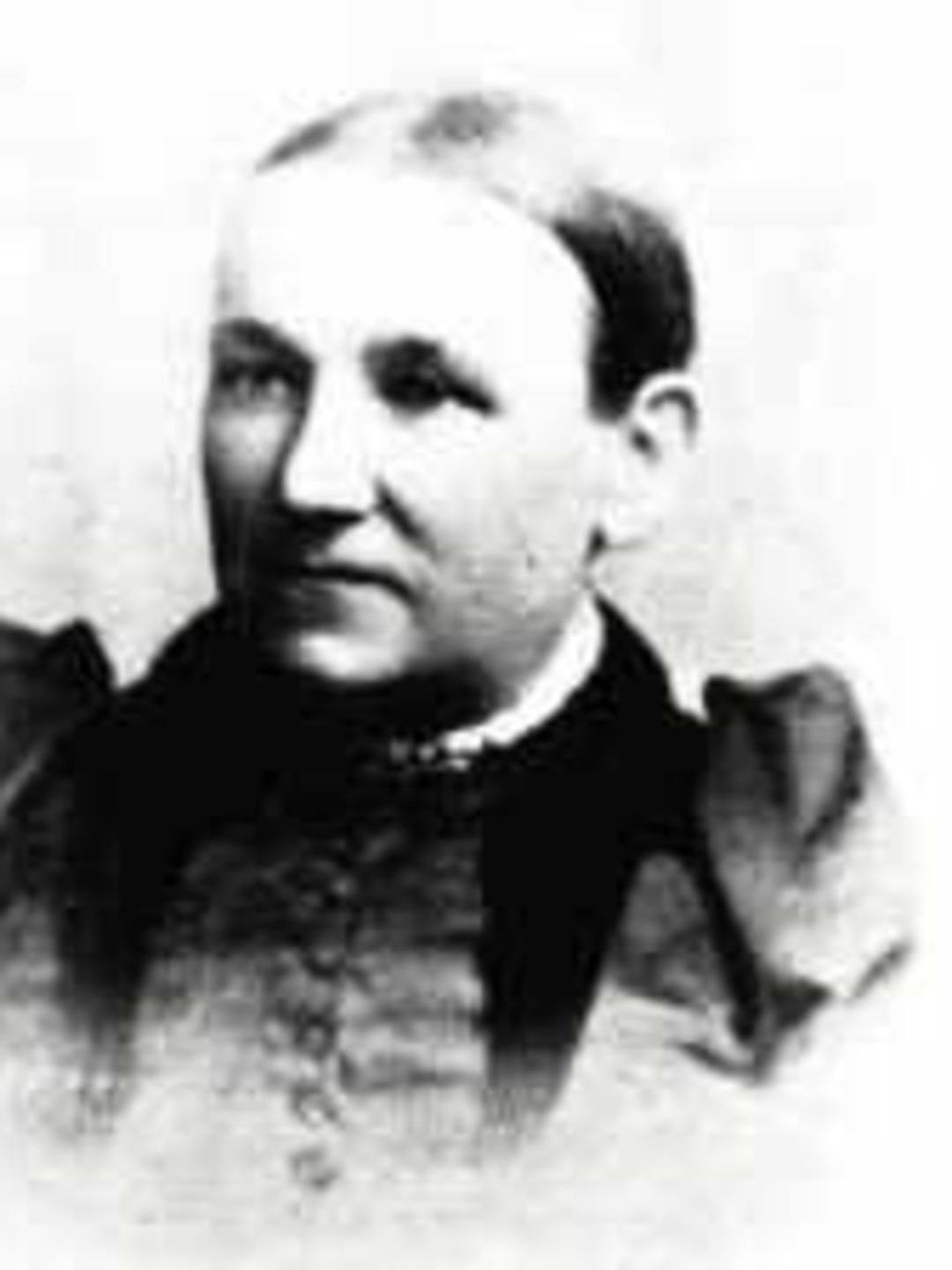 Susan Amelia Wright (1843 - 1903) Profile